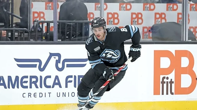 Mammoth F Nick Schmaltz inks 8-year, $64M extension