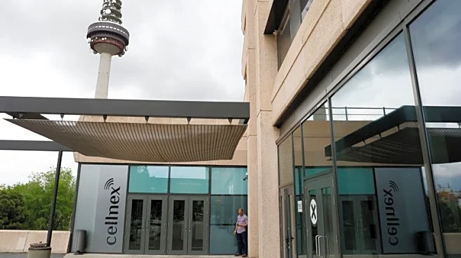 Spain's mobile phone tower group Cellnex expects industry consolidation to slow