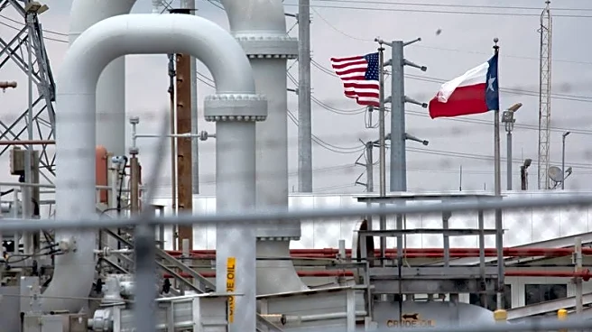 Factbox-How have US presidents tapped strategic petroleum reserves during war?