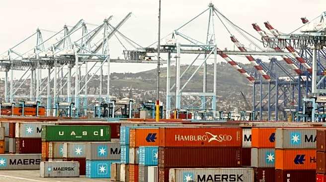 Factbox-The 16 US trading partners hit by Trump's '301' probes