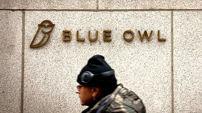 Investment fund questions valuations in Blue Owl's private credit portfolio, FT reports