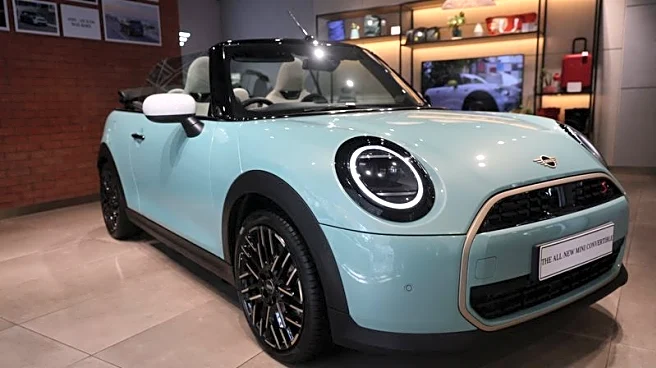 BMW braces for another year of tariff and China struggles