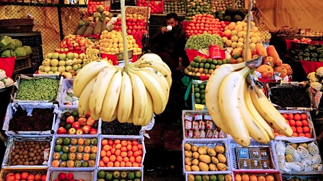 India's February retail inflation quickens to 3.21% y/y