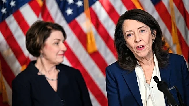 US must fix issues with anti-drone laser system, key Democratic senator says