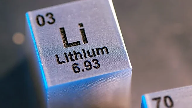 Chile, US eye collaboration on rare earths and other critical minerals