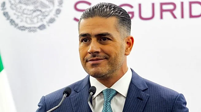 Mexico's heartthrob security minister now available as miniature doll, shirtless or dressed as Batman