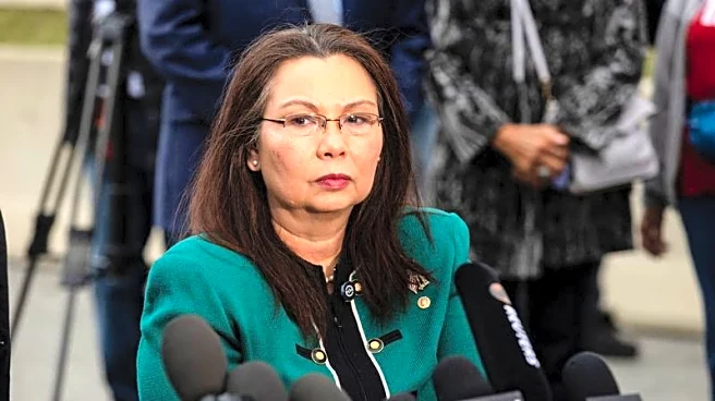 Senator seeks US watchdog probe into Texas drone incidents