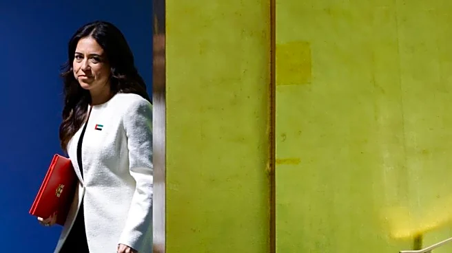 UAE says Iran must halt attacks on neighbours to allow diplomacy