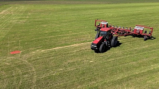 Iran war deprives US farmers of affordable fertilizer as spring planting looms