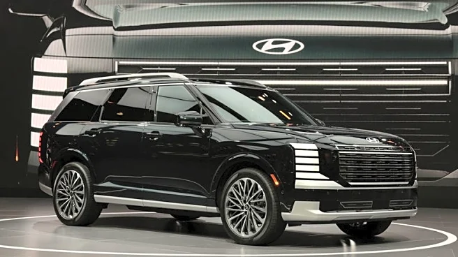 Hyundai issues stop sale for some 2026 Palisade SUVs after fatal incident