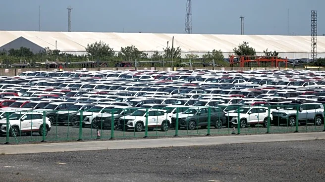 Auto industry groups urge Trump to keep Chinese autos out of US