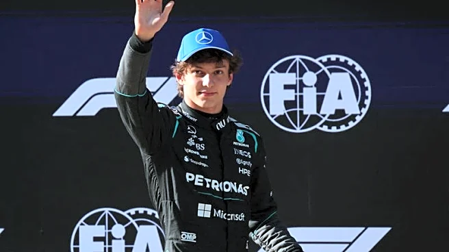 Motor racing-Antonelli takes record pole in China as Mercedes dominate