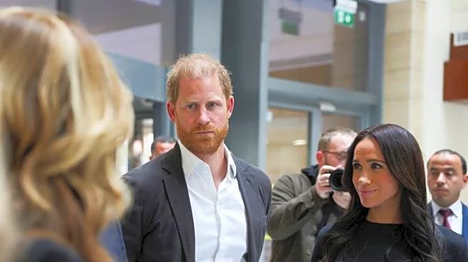 New Prince Harry book a 'deranged conspiracy', his spokesperson says