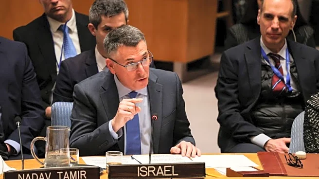 Israeli foreign minister denies country facing interceptor shortages