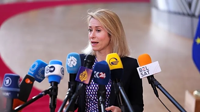 EU's Kallas floats Black Sea model to unblock Strait of Hormuz