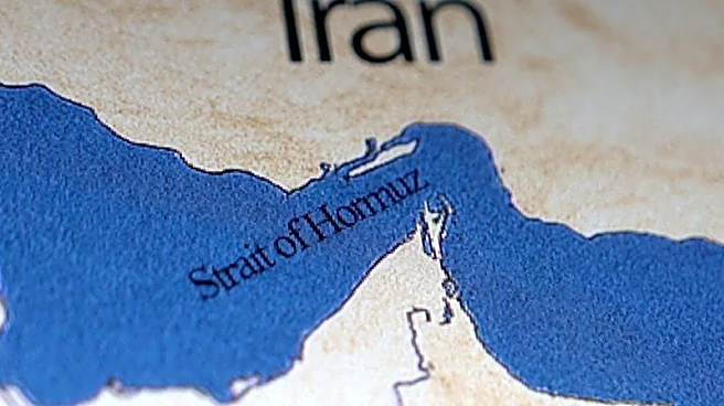 Analysis-Gulf states press US to neutralise Iran for good as Hormuz crisis deepens