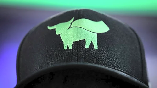 Beyond Meat to delay annual report, reports preliminary Q4 revenue