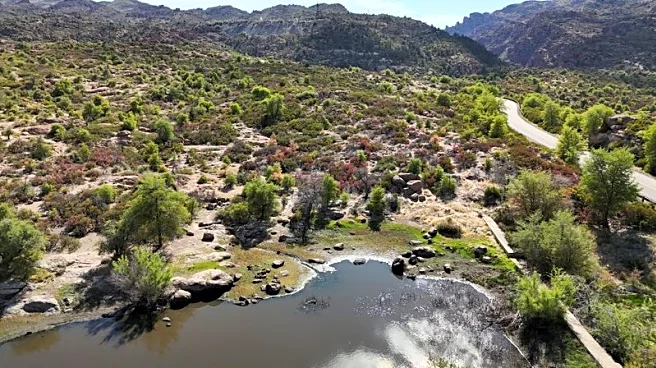 Rio Tinto gains control of Resolution Copper acreage after years-long court fight