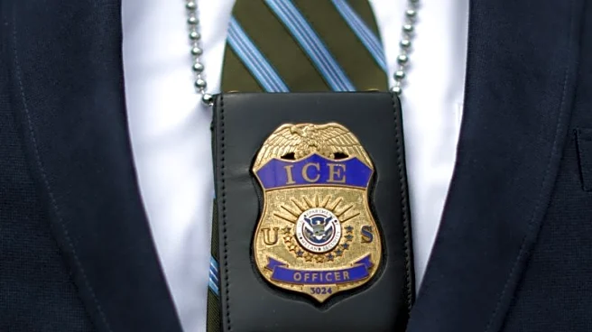 Palestinian protester released from US immigration detention