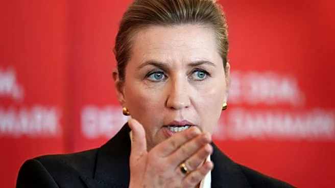 Mette Frederiksen, Denmark's Trump-defying prime minister, seeks third term