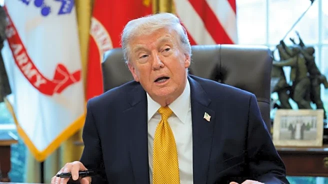 Factbox-What is in Trump's bill that requires proof of citizenship to vote?