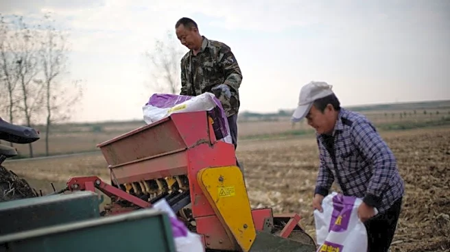 Explainer-How does the Iran war affect fertiliser supplies, prices and food security?