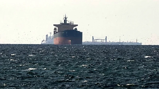 UAE could join any US-led effort to secure Strait of Hormuz, says senior official