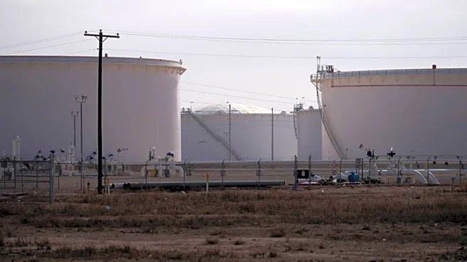 Factbox-US oil loan from emergency reserve depends on stiff premiums