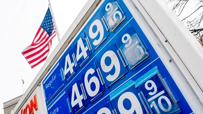 US drivers face long-term pain at pump, analysts say; Trump bets they are wrong