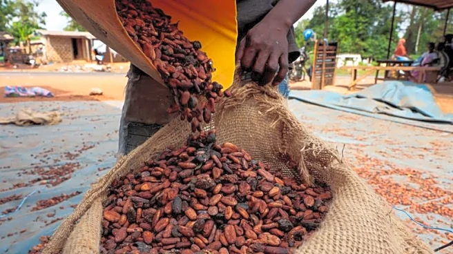 Analysis-Is coffee the new cocoa? Some expect coffee prices to also crash