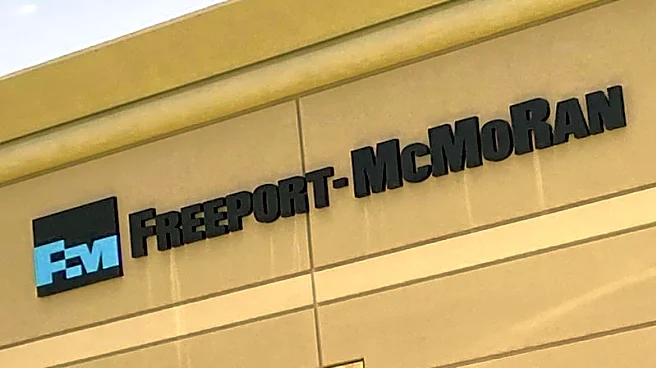 Freeport seeks permit for $7.5 billion mine expansion