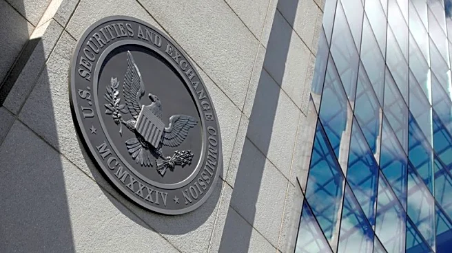 US SEC forming new team to police accounting issues