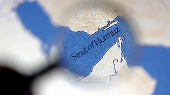 Joint statement on Strait of Hormuz by European nations, Japan, Canada