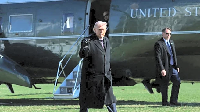 Trump's push for Greenland hangs over Danish election