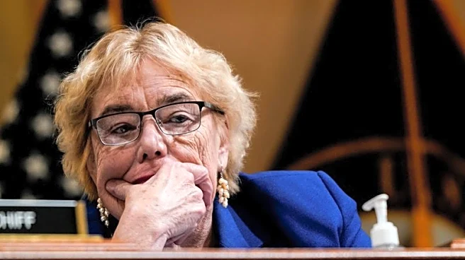 US House Democrat blasts Commerce's 'highly concerning' $1.6 billion USA Rare Earth deal