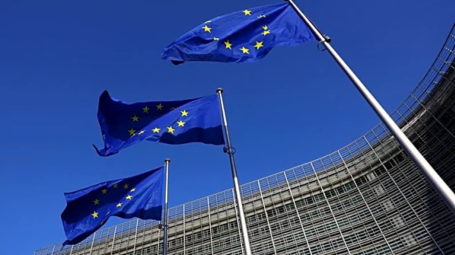 Exclusive-EU digital rules should apply to Big Tech's smart TVs, broadcasters tell antitrust chief