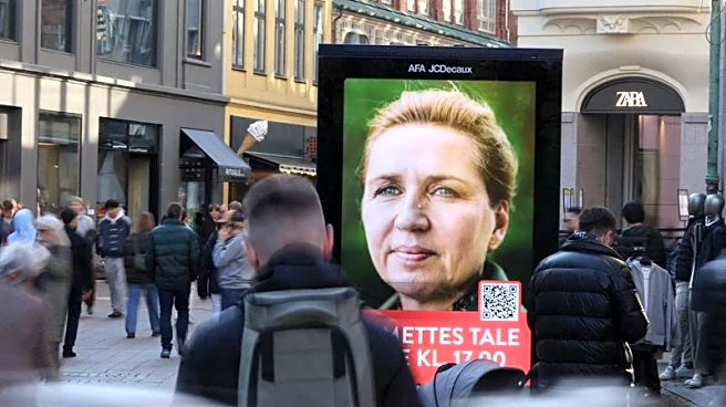 Factbox-Economy, Greenland and wealth tax among issues in Denmark's election