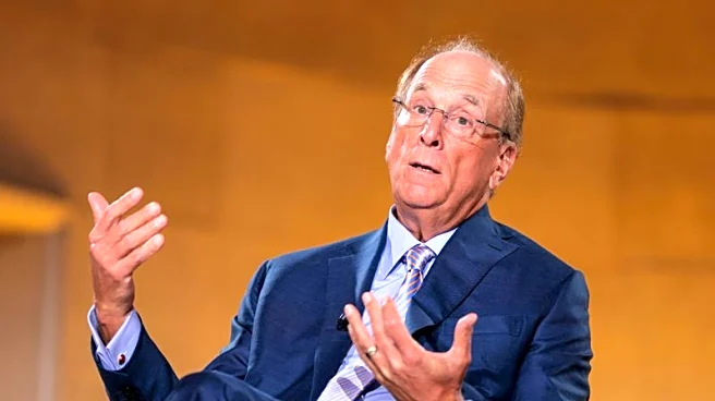 BlackRock CEO Fink backs staying invested amid volatility, flags AI shift