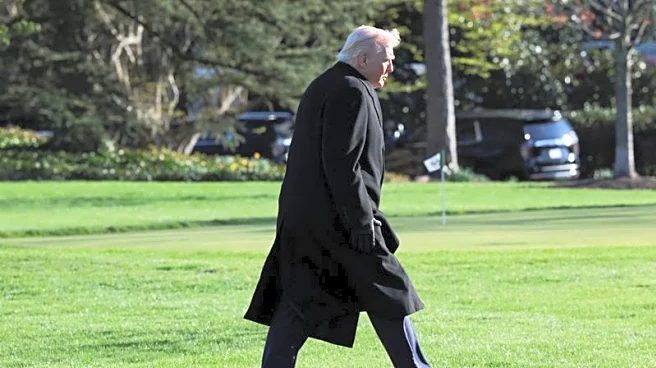 Morning Bid: Little relief from Trump