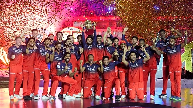 Birla, Blitzer, Blackstone, Times of India consortium to buy IPL team RCB for $1.78 billion