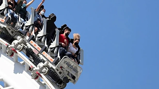 Six Flags appoints new chair amid call for sale