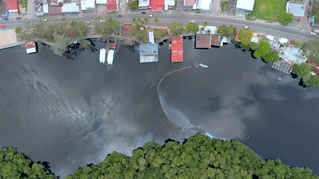 Residents and wildlife along Mexico's coast bear the brunt of Pemex oil spill