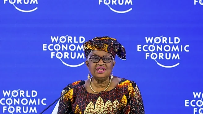 WTO chief: world order has irrevocably changed