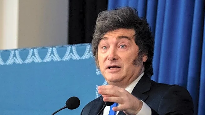 Corruption allegations dent Milei's popularity in Argentina, polls show