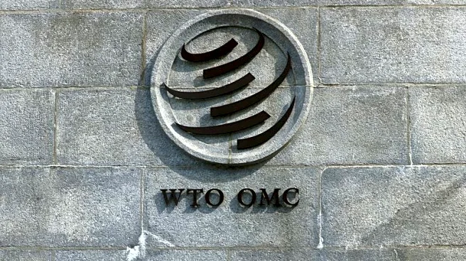 WTO at 'critical juncture' and needs deep reform, EU and CPTPP say