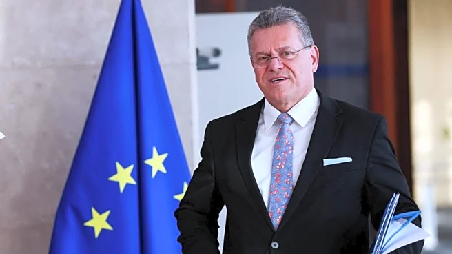 EU trade commissioner discusses critical minerals, tariffs with US