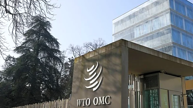 Explainer-What is the World Trade Organization e-commerce moratorium?