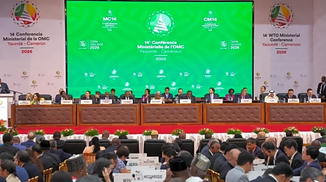 WTO members bypass opposition to introduce world's first baseline digital trade rules