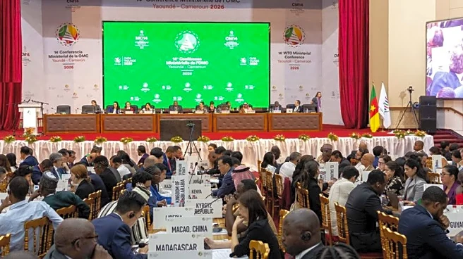 WTO suffers fresh blow as reform push hits a wall at Cameroon meeting