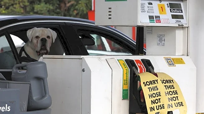 Analysis-Oil and war top financial markets worry list for an uncertain Q2